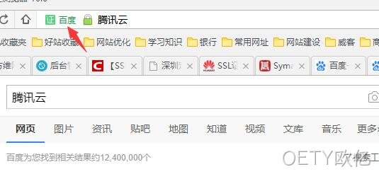 HTTPS 公司名显示2