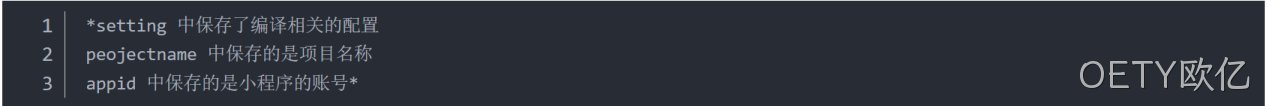  JSON 配置文件