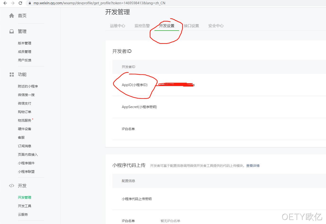 开发设置