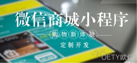 定制开发