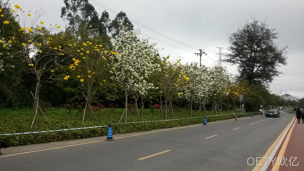 OETY欧亿仙湖行