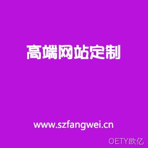 高端定制网站